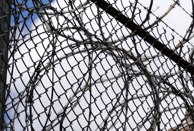 Un bulgar, care a adus ilegal în România 6 kurzi sirieni, condamnat definitiv la 1 an și 6 luni de închisoare cu executare